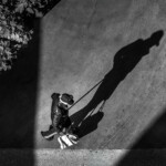 Dominique Gizardin Dominique Gizardin